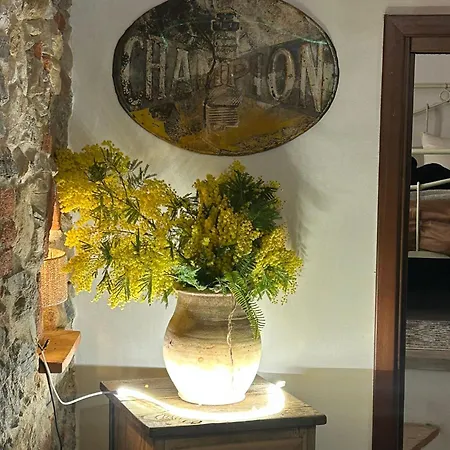 Апартаменты A Paganotti Roccaforte Mondovi